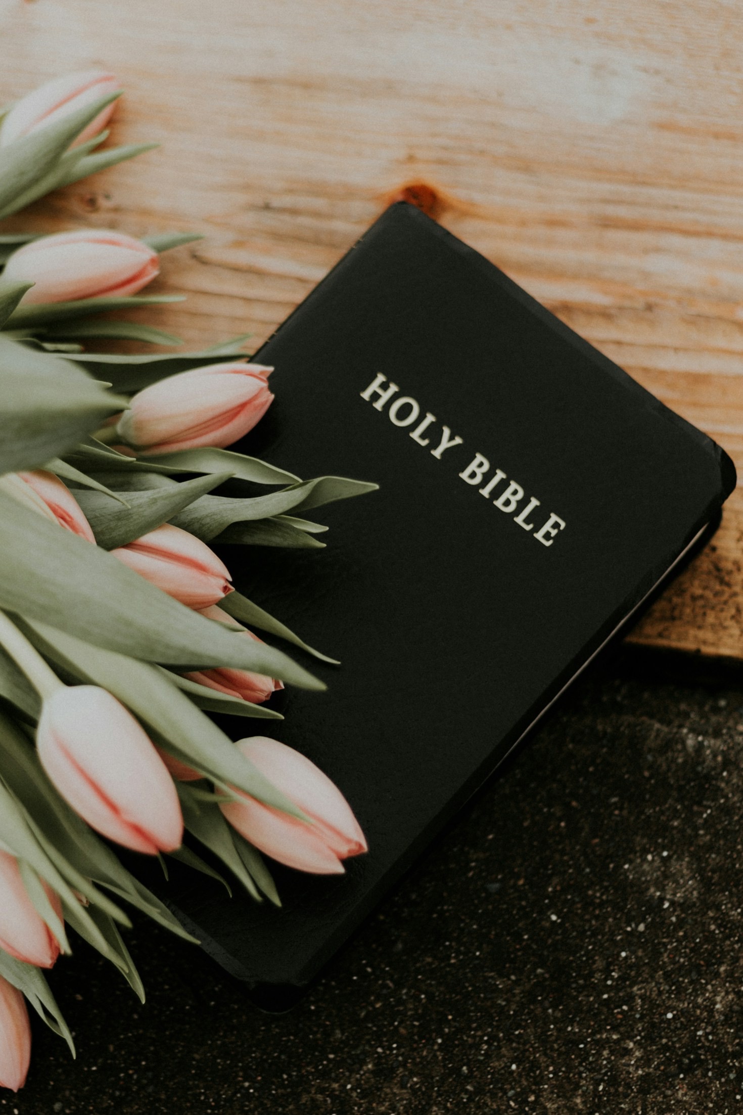 How Faith Dive Can Transform Your Bible Study